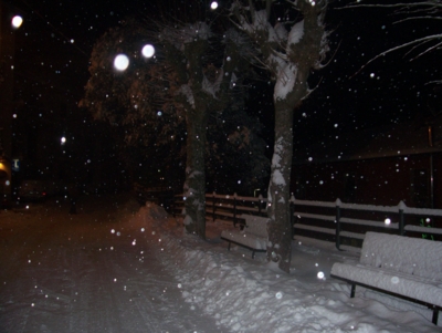  Image name: molino fine anno 2009 394.jpg 
 width: 400 pixel 
 height: 301 pixel 
 Size: 97305 bytes 
 Click to enlarge 